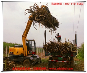 山東寶鼎抓木機（甘蔗抓裝機）產品