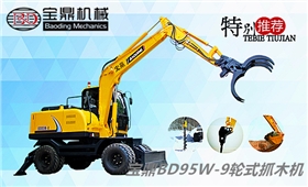 國產挖掘機廠家寶鼎BD95W-9輪式抓木機設備
