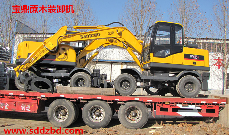 山東寶鼎蔗木裝卸機.jpg