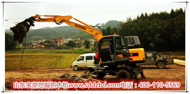 山東寶鼎蔗木裝卸機(jī)