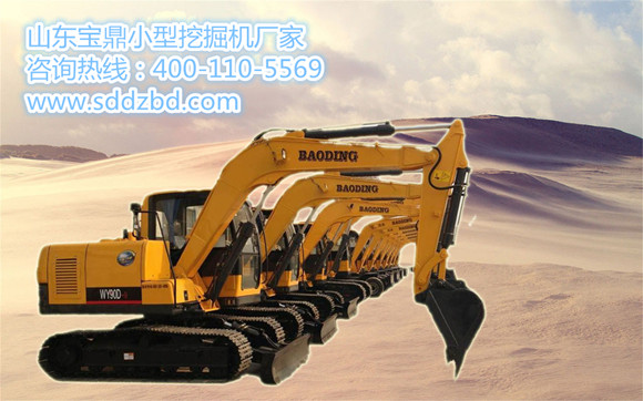 山東寶鼎小型挖掘機生產廠家