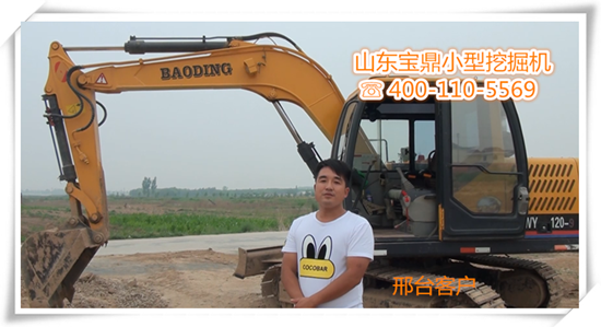 山東寶鼎反鏟小型挖掘機廠家