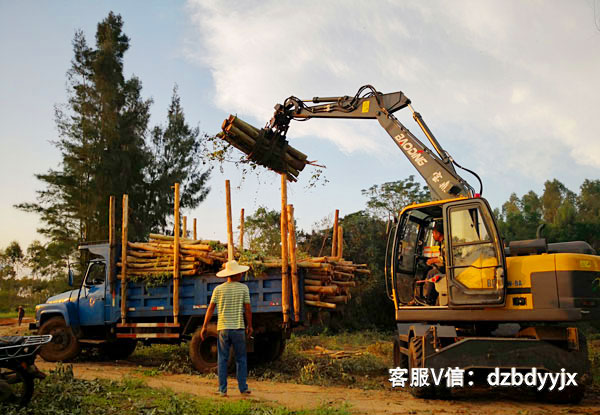 市場上的寶鼎抓木機車型.jpg