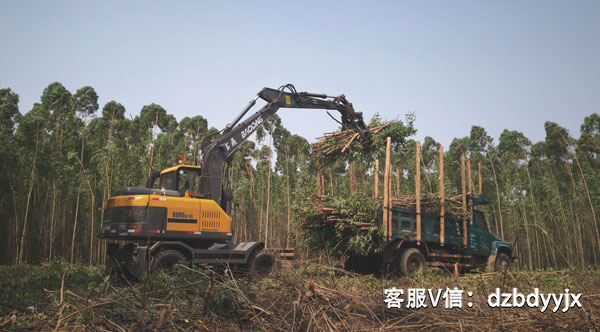 寶鼎輪式挖掘機抓木機.jpg