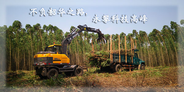 寶鼎95輪式抓木機廠家.jpg