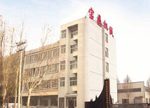 寶鼎挖掘機(jī)公司廠(chǎng)區(qū)外景