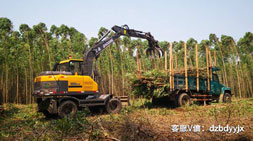 抓木機市場如何甄別優質輪式抓木機車型？